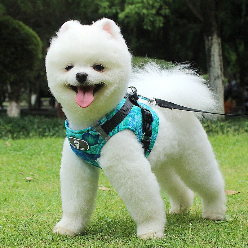 Winter Dog Harness Vest Collar with Leash Set Pet Walking Harness Adjustable Cat Led Reflective — image 6