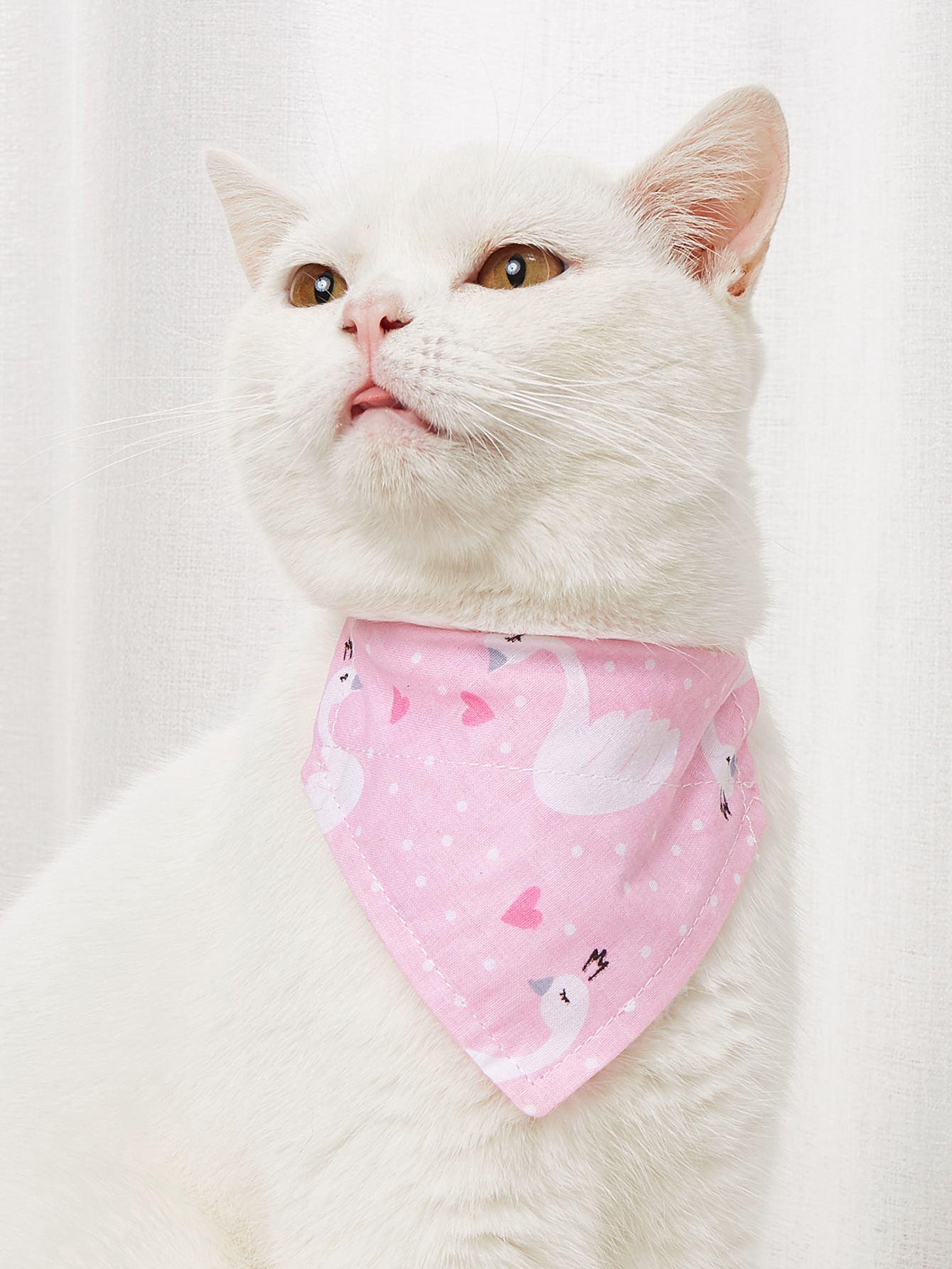 Pet Supplies Pet Saliva Towel Cartoon Pet Dog Collar Cat Triangle Towel Collar Pet Triangle Towel — image 3