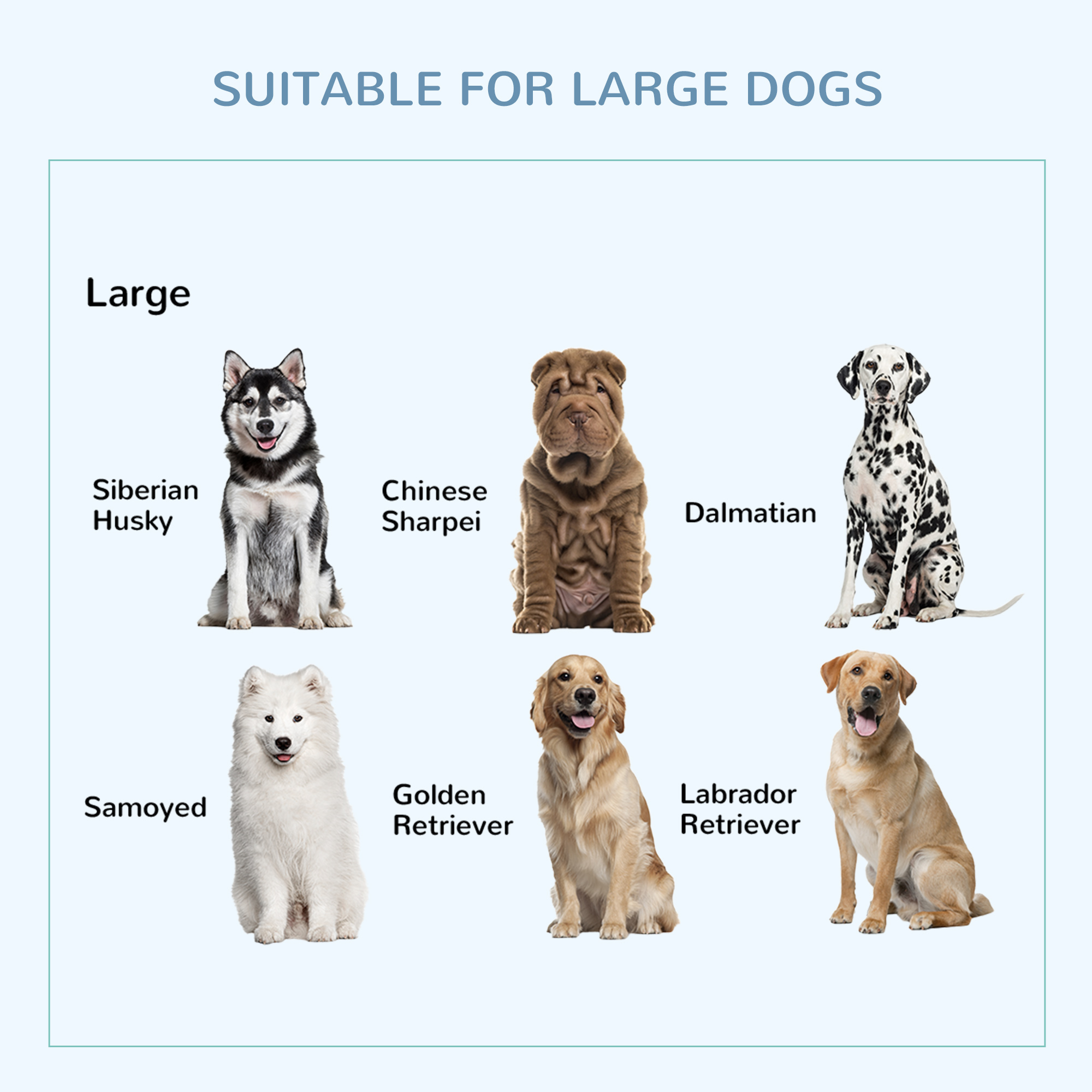 Jaula para Perro de 36" Ultra Resistente con Bandeja Extraíble, Ruedas con Freno y Doble Puerta, para Perros Medianos y Grandes, Negro — imagen 6