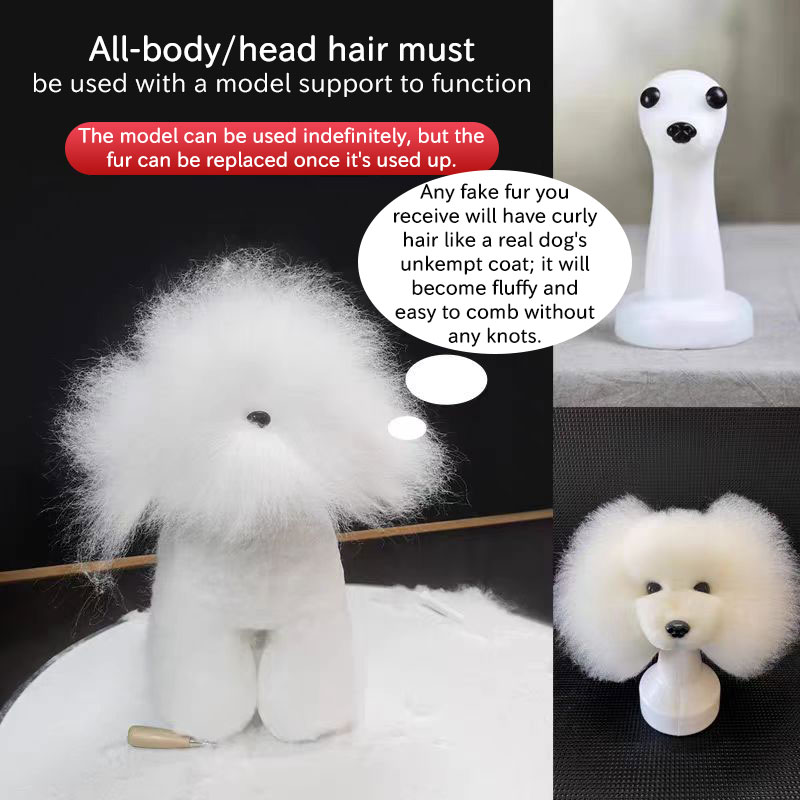Cabeza de Entrenamiento para Pelo Canino Profesional | Modelo de Practica para Estudiantes de Estética Animal y Cuidado del Pelaje — imagen 17