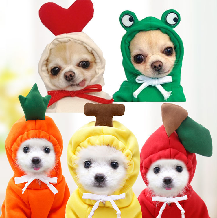 Sudadera de fruta para perros pequeños y medianos, perros y gatos, otoño e invierno, sudadera de felpa, suministros de ropa para mascotas, Teddy Pitcher — imagen 1