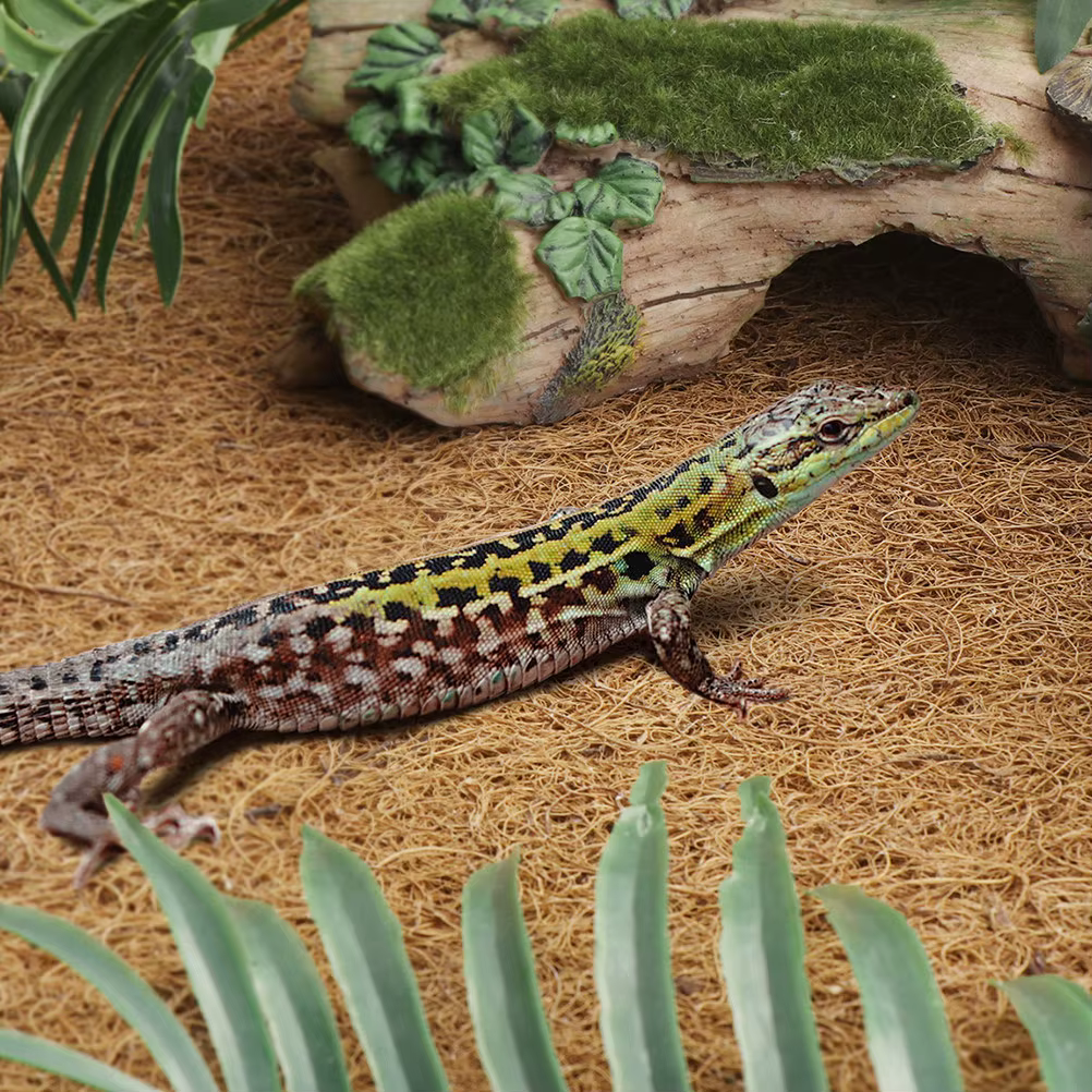 Natural Coconut Fiber Reptile Carpet Mat for Terrarium Substrate Bedding Tortoise Lizard Snake Gecko Reptile Cage Accessories — image 6