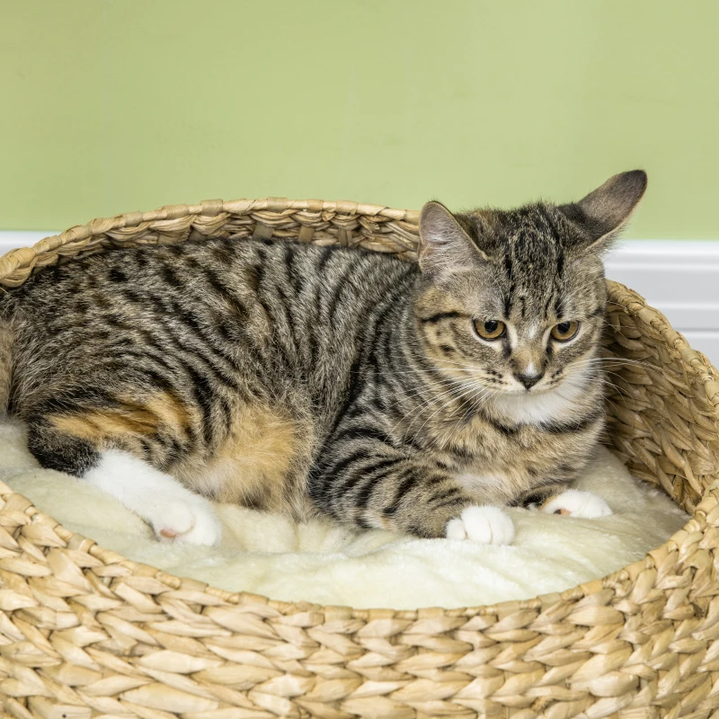 Elevated Cat Bed With Sisal Scratching Post For Indoor Kitties, Modern Cat Tree With Cute Basket Design, Small Cat Tree With Ball Toy — image 4