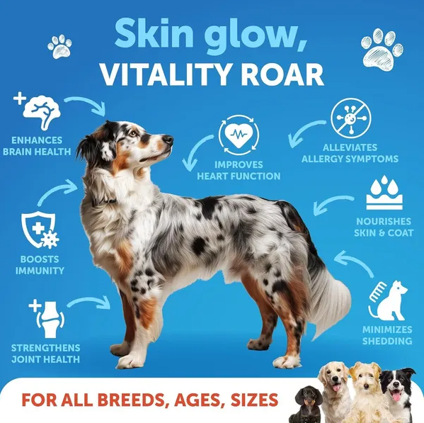 Aceite de Salmón para Perros 3 por 8 FL OZ Aceite de Pescado Silvestre Alaskano — imagen 2