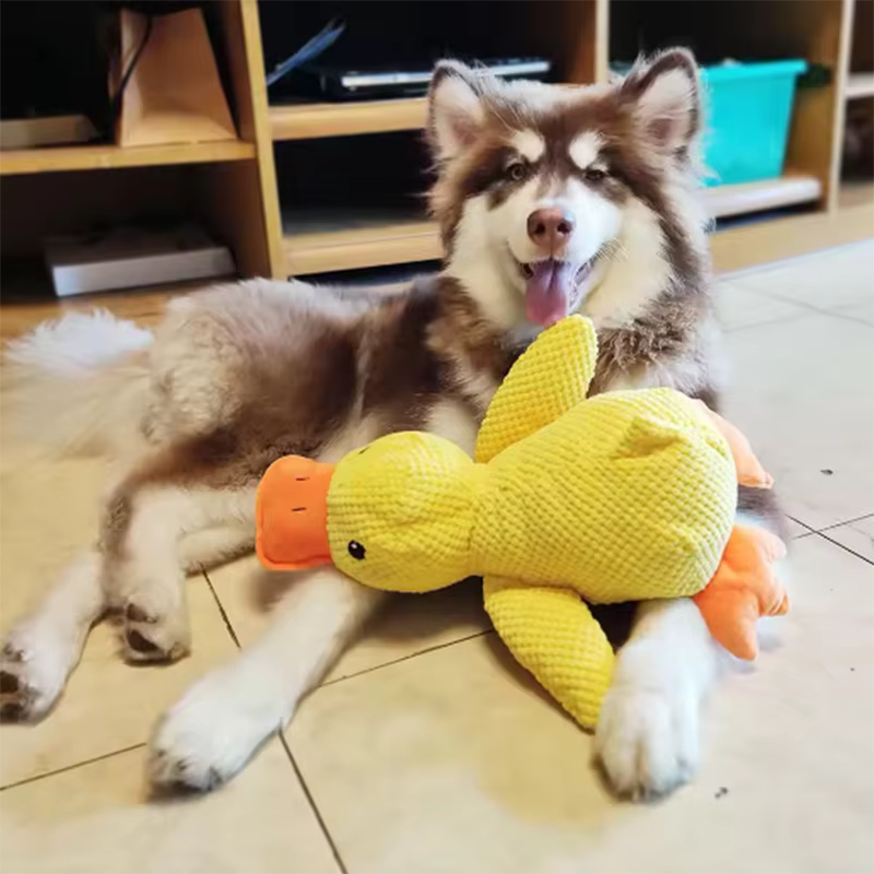 Perro durmiendo con un abrazo de juguetes de pato amarillo para aliviar la aburrición de juguete de peluche interactivo de mascota pequeña — imagen 4