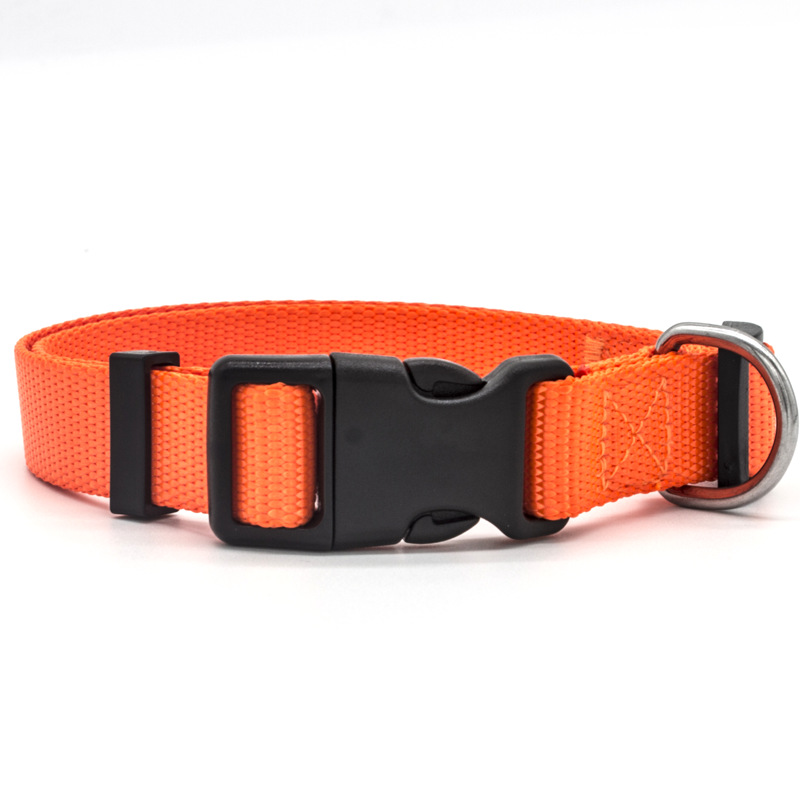 New Pet Collar — image 5