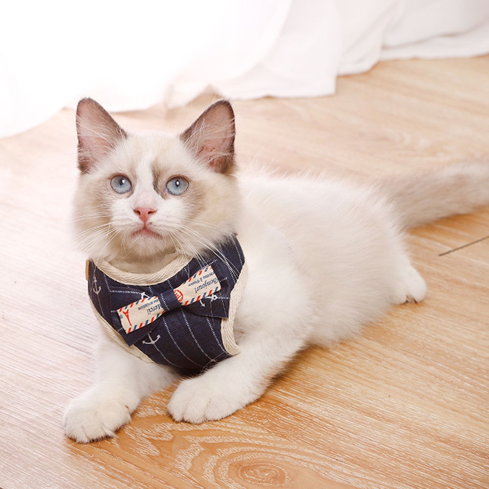 Cute Dog Cat Harness and Leash Set Nylon Mesh Pet Puppy Harness Lead Cat Collar Clothes Vest for Small Cats Kitten Pet Supplies — image 4