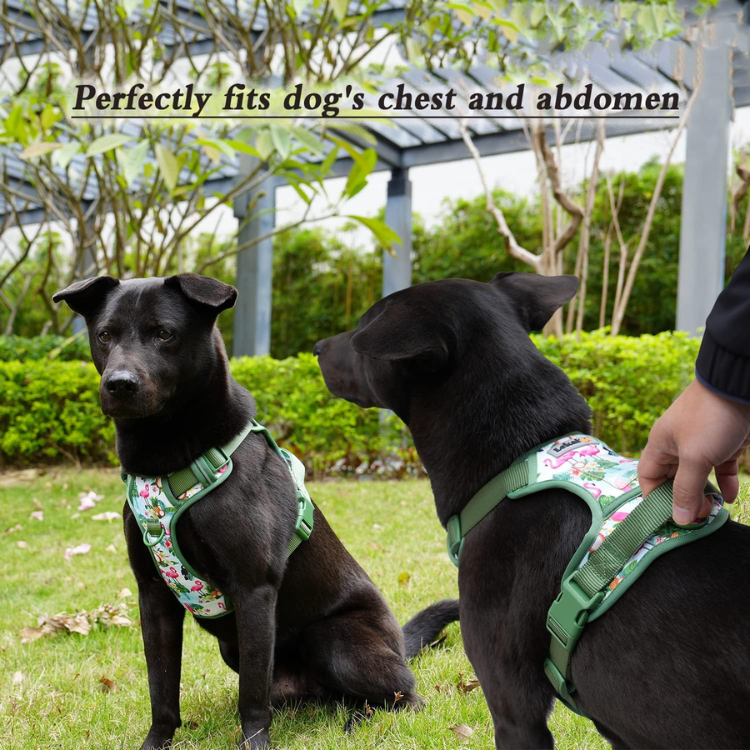 Dog Harness Collar 5ft Leash Poop Bag Holder Set, Reflective Adjustable No-Pull Dog Vest Harness With Safety Lock Easy Control Handle, For Small Medium Large Dogs 4pcs-M-Navy — image 4