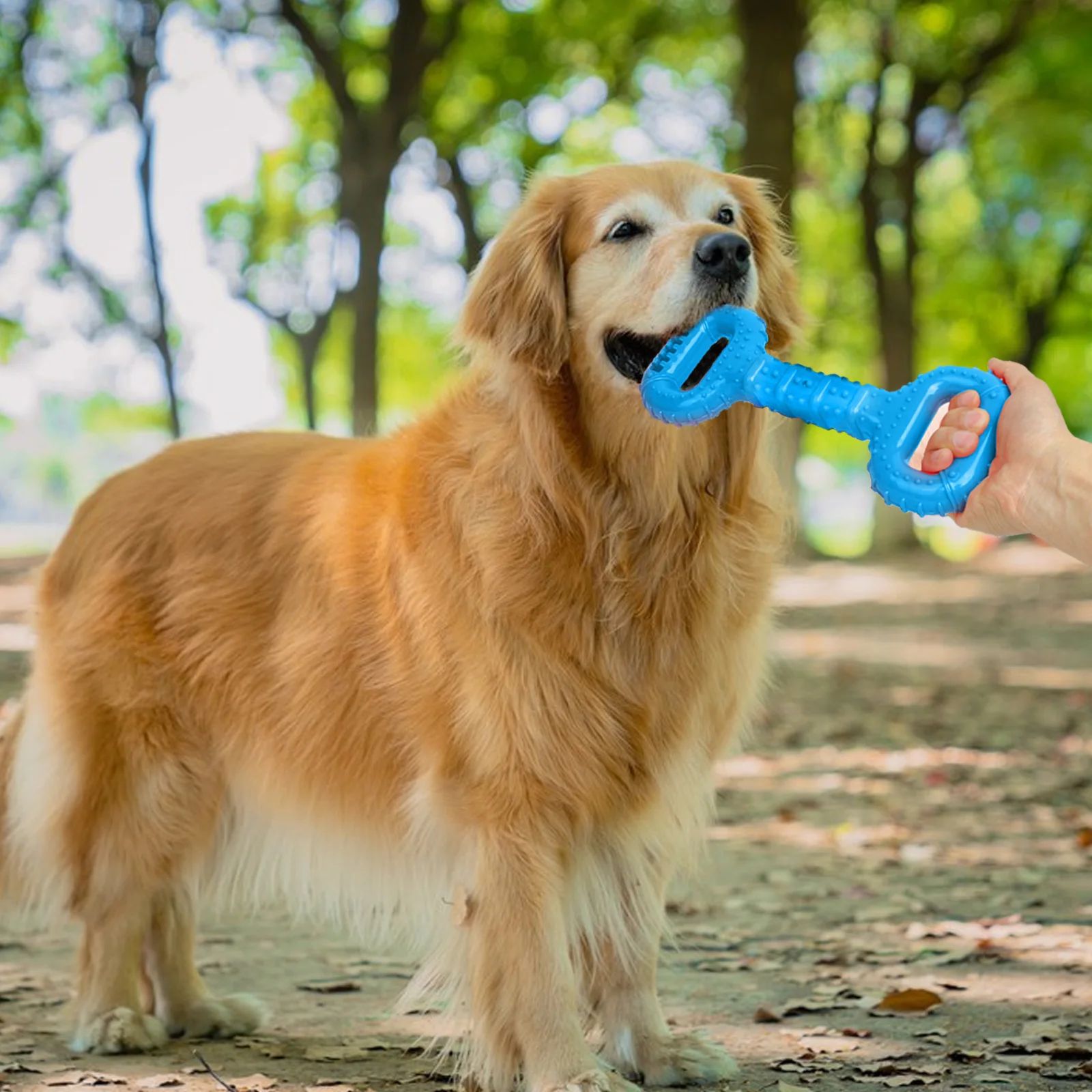 Dog Bones For Aggressive Chewers, Dog Chews Toys Long Lasting, Interactive Dog Bone Toys With Pull Band, Dog Teething Toy — image 8