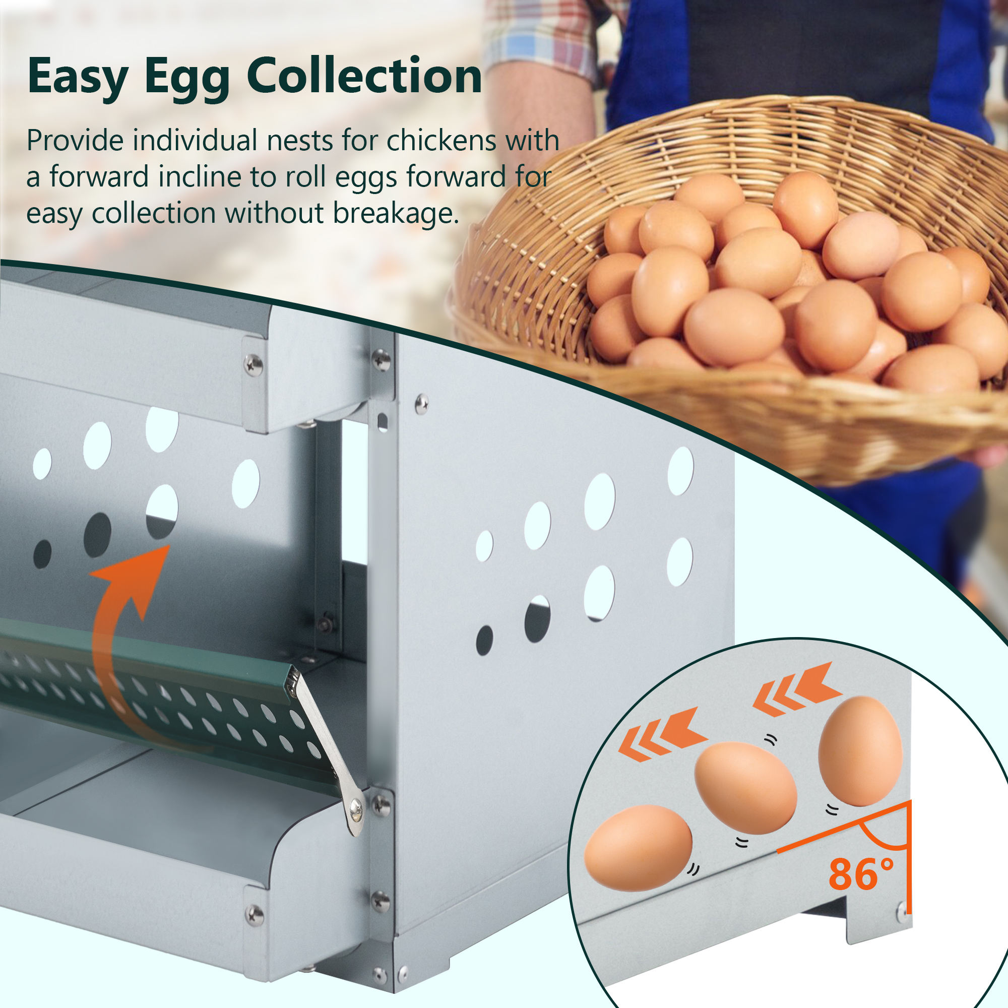Caja de Puesta para Pollos con 6 Compartimentos Verde - Llegada Automática y Fácil Limpieza — imagen 2