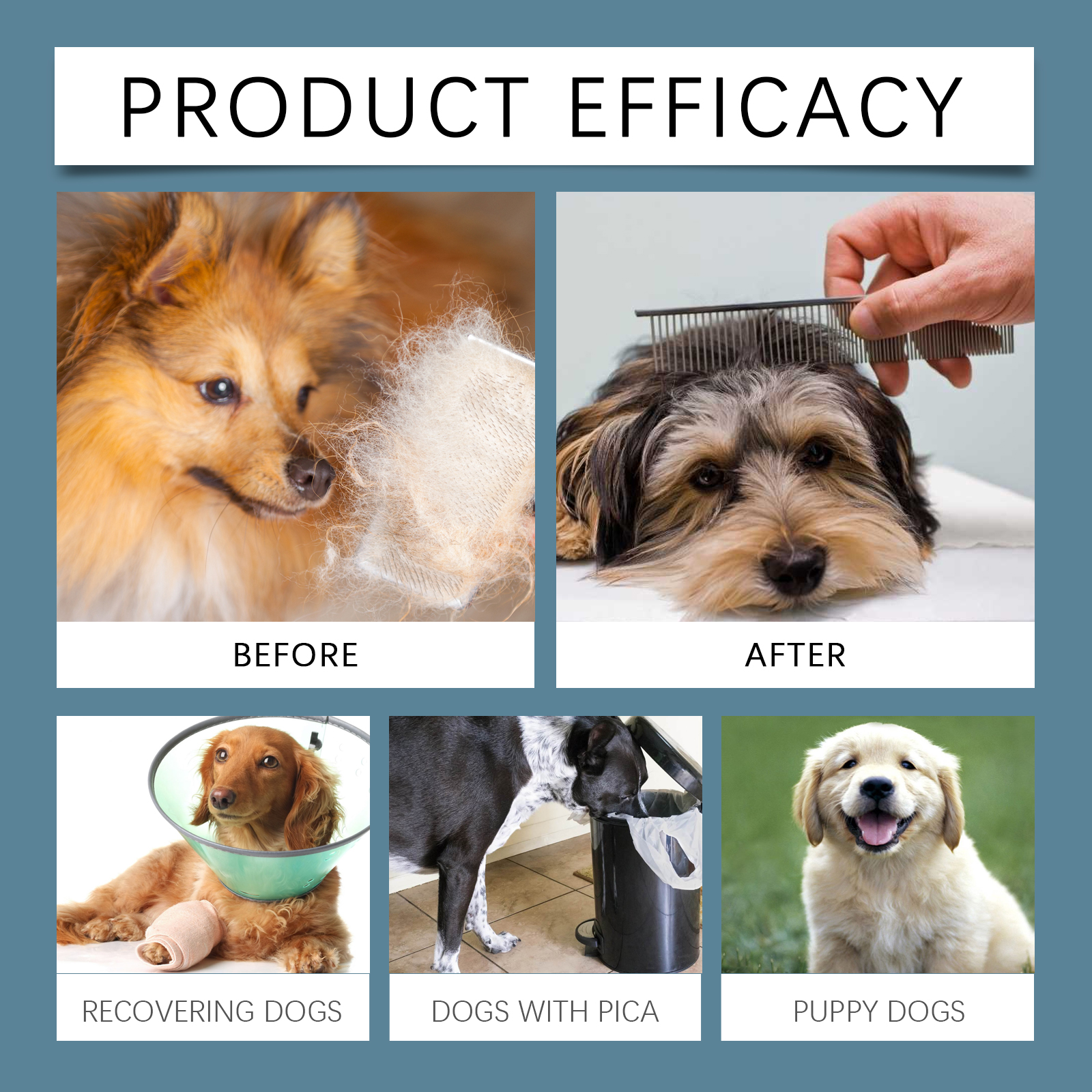 Yegbong Minerals For Dogs, Support Nerves And Promote Overall Health With Calcium And Magnesium Supplements — image 5