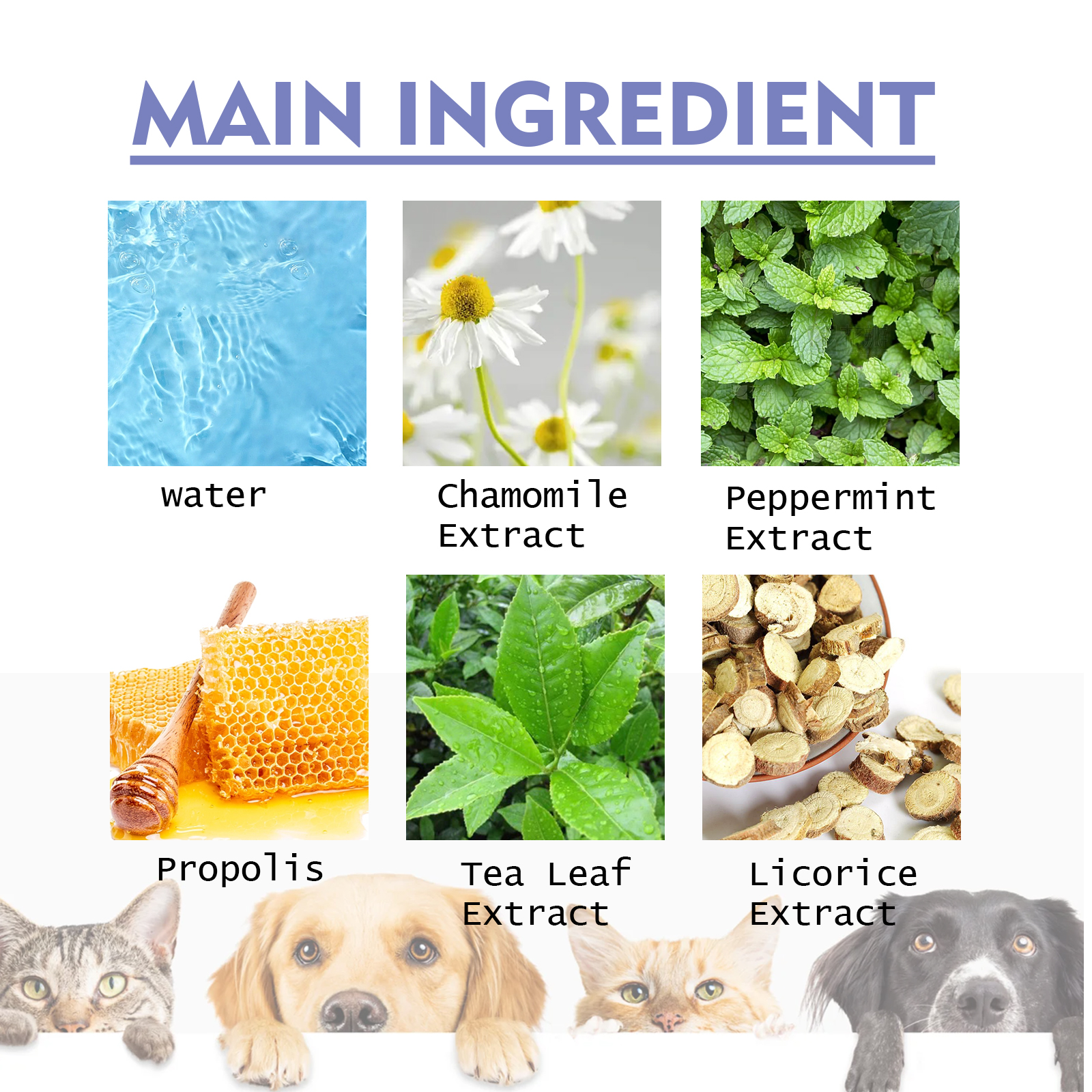 Yegbong Dog And Cat Tooth Cleaning Spray, Pet Mouth Cleaning Breath Fresh Deodorizing Cleaning Spray — image 7