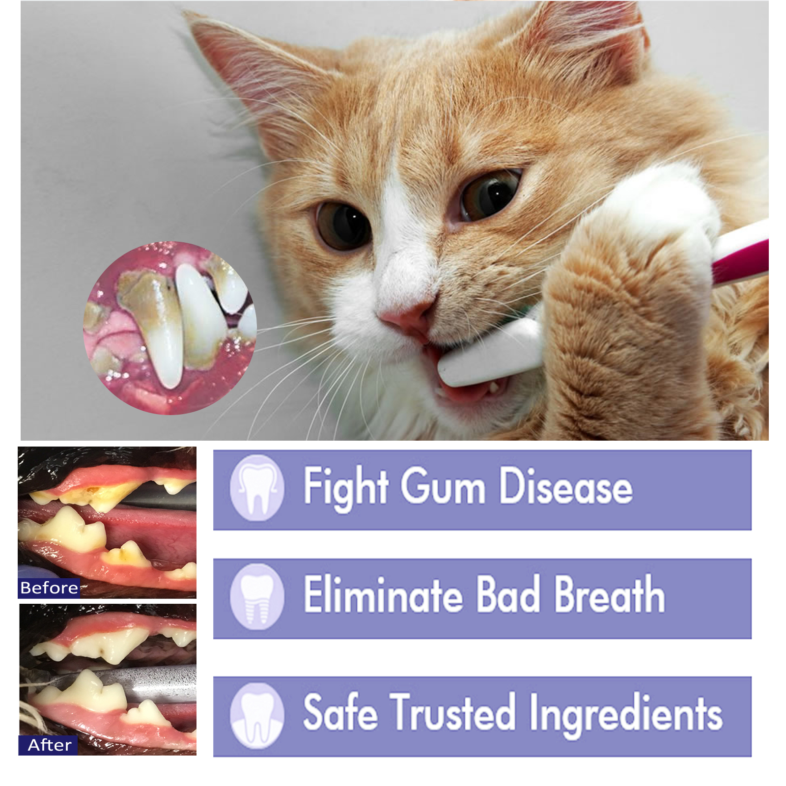 Cremas para Higiene Oral de Mascotas Yegbong: Elimina Mal Aliento y Placas en Perros y Gatos — imagen 6