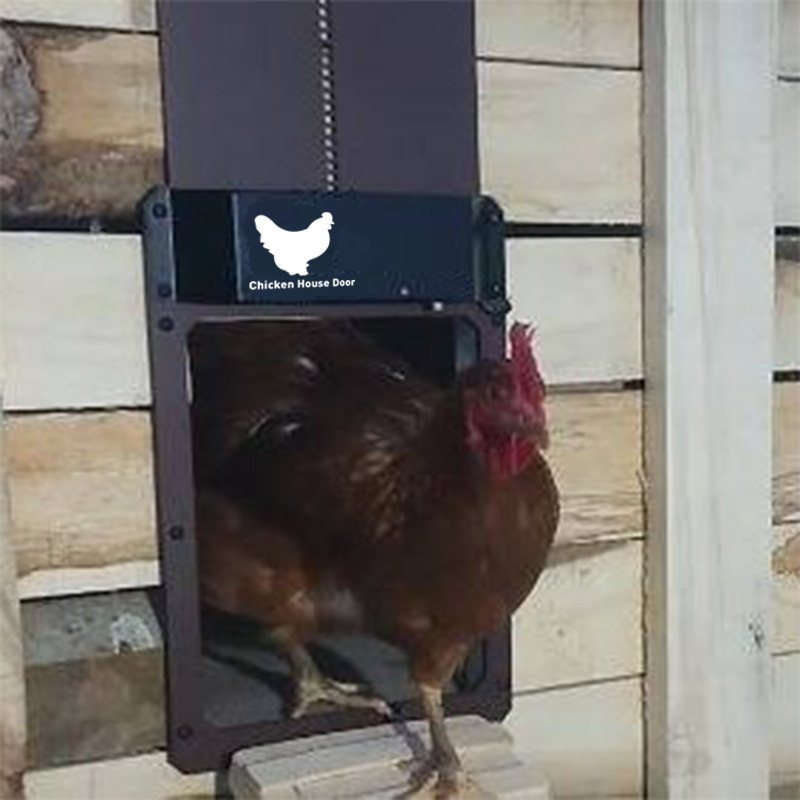 Puerta Automática para Gallineros con Sensores de Luz y Resistente al Agua — imagen 5