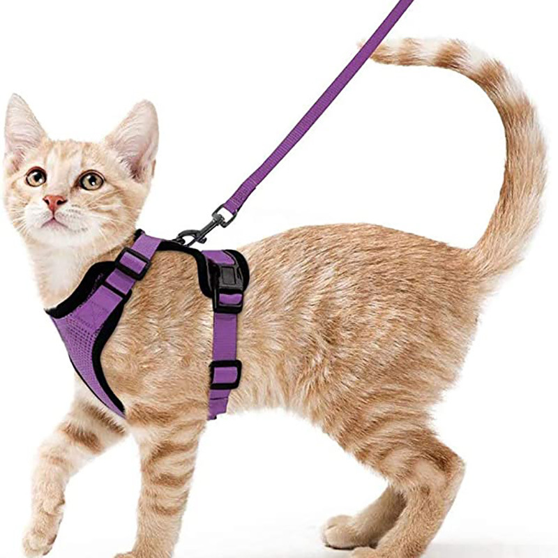 Arnes y Correa para Gatos con Control Fácil, Inescapable - Arnes de Vestido Suaves y Ajustables para Pasear a los Gatos — imagen 4
