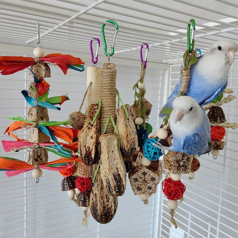 Juguetes para Loros Suministros de Mordida Piezas para Volateros — imagen 16