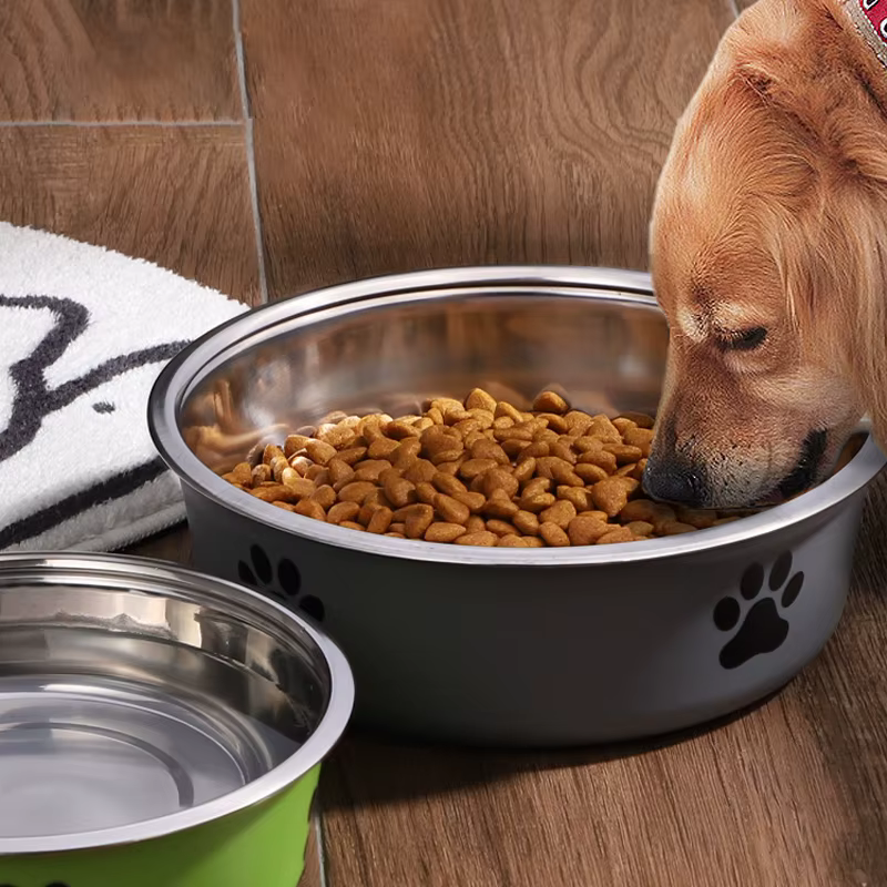Bolita de Agua para Perros con Base de Goma Antideslizante y Comida para Mascotas Caninas y Felinas — imagen 3