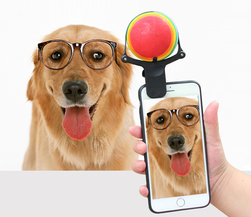 Pet photo props toy pet photo selfie artifact funny dog camera phone clip tennis selfie clip — image 2