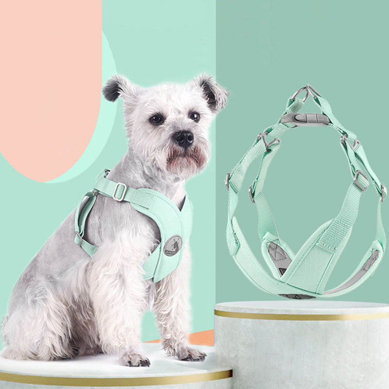 Pet Chest Strap New Macaron Fresh Summer Vest-Style Dog Leash Pet Supplies — image 2