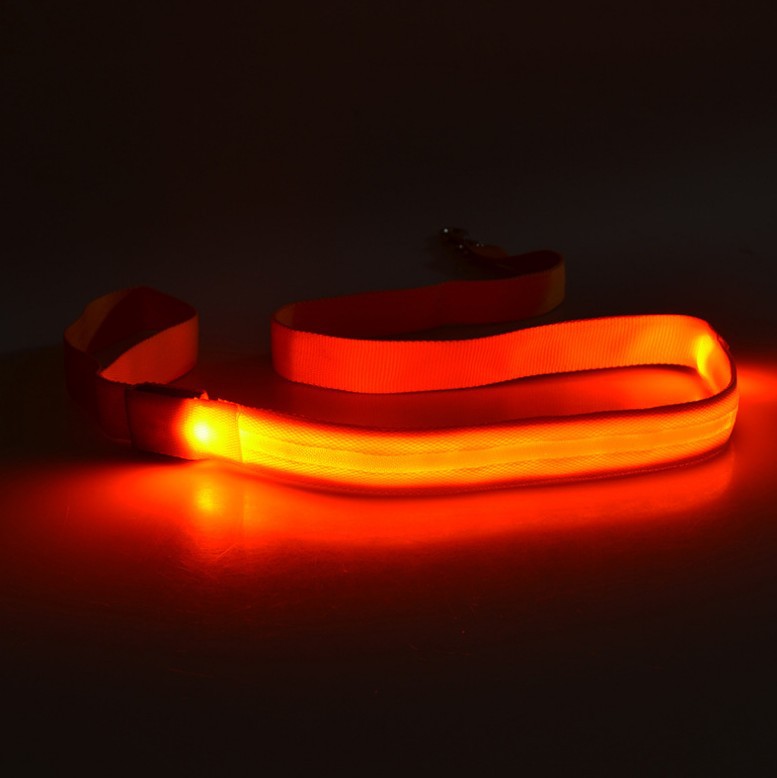 Pet Leash LED Light-Emitting Dog Leash 120CM Length 6 Colors — image 10