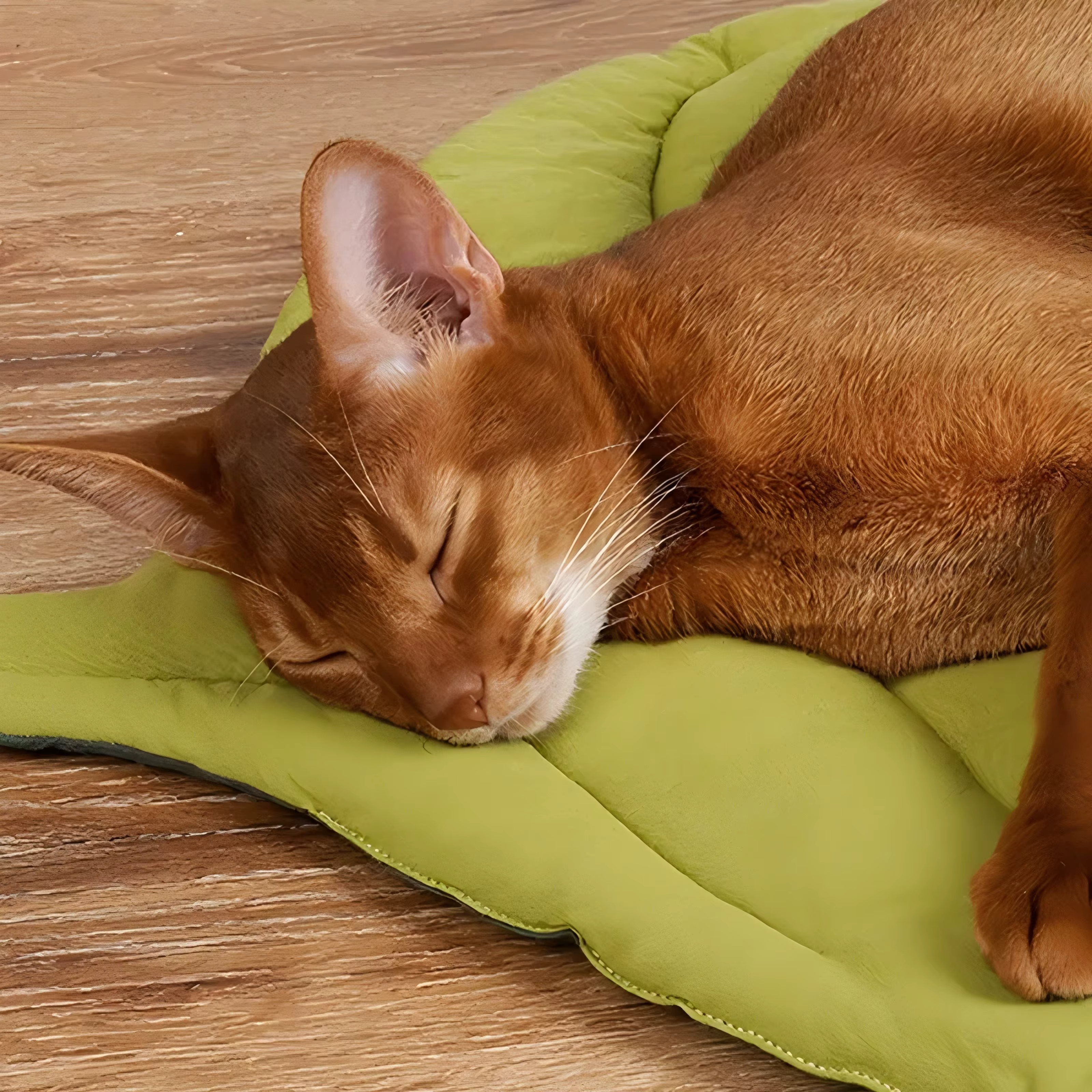 Cat Bed Mats Soft Cotton Leaf Shaped Kitten Cat Puppy Dog Bed Mat Sleep Blanket Home Pets Double Sided Pad Floor Rugs Washable — image 5