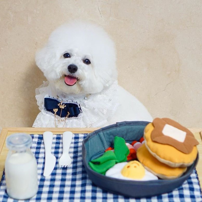 Juguetes de comida para perros en forma de piel — imagen 5