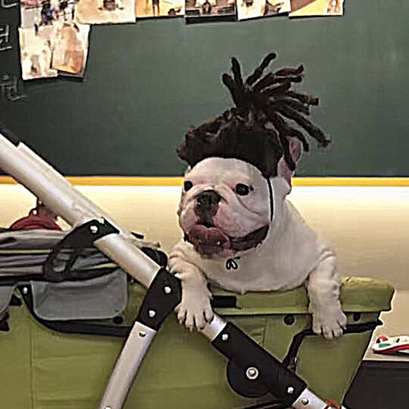 Accesorio de peluche para mascotas con pelo rizado y liso para Halloween — imagen 4