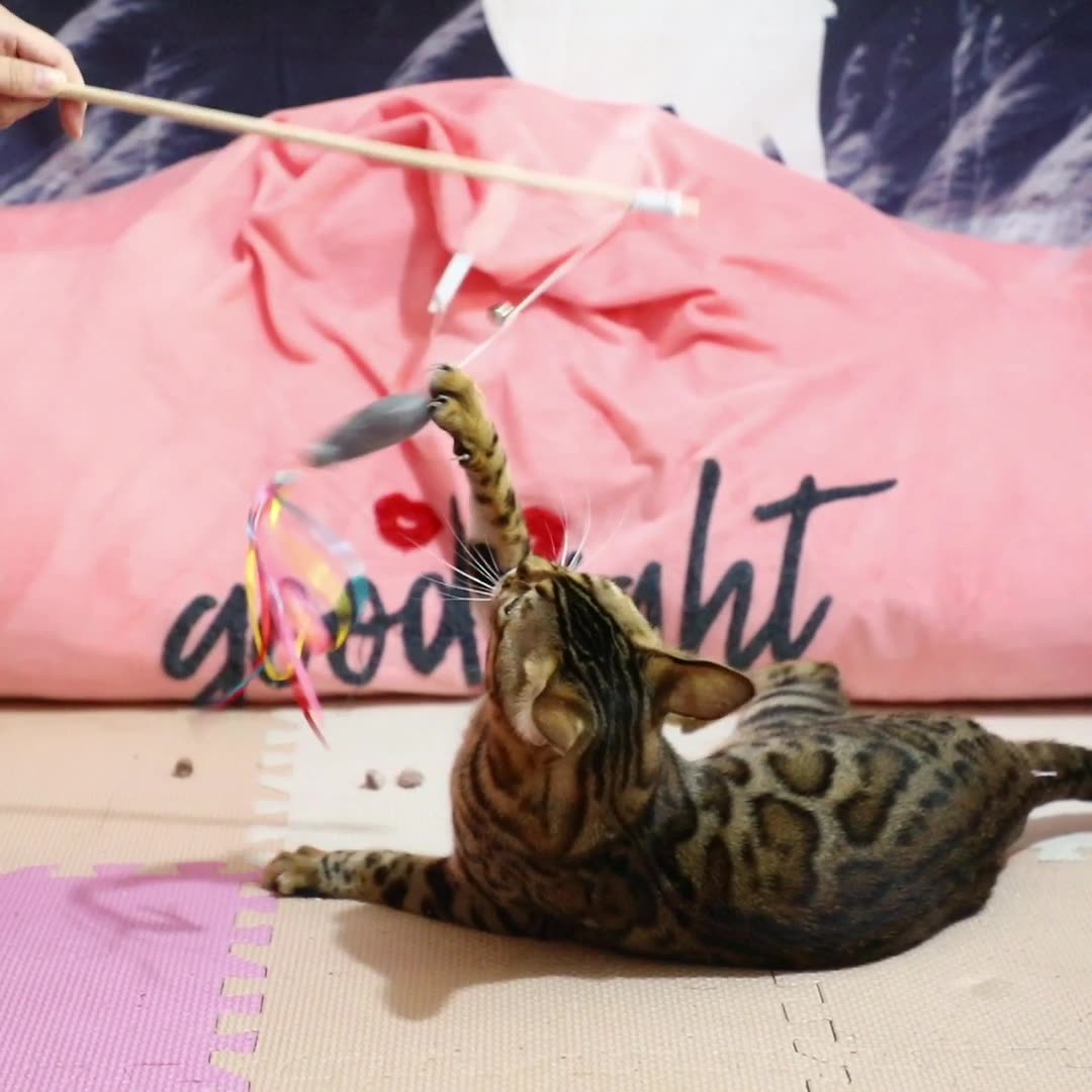Juguetes de Varita para Gatos Interactivos con Aceite de Nepeta, Colores y Sonido: Estimulación Natural para la Instintiva Caza del Felino — imagen 2