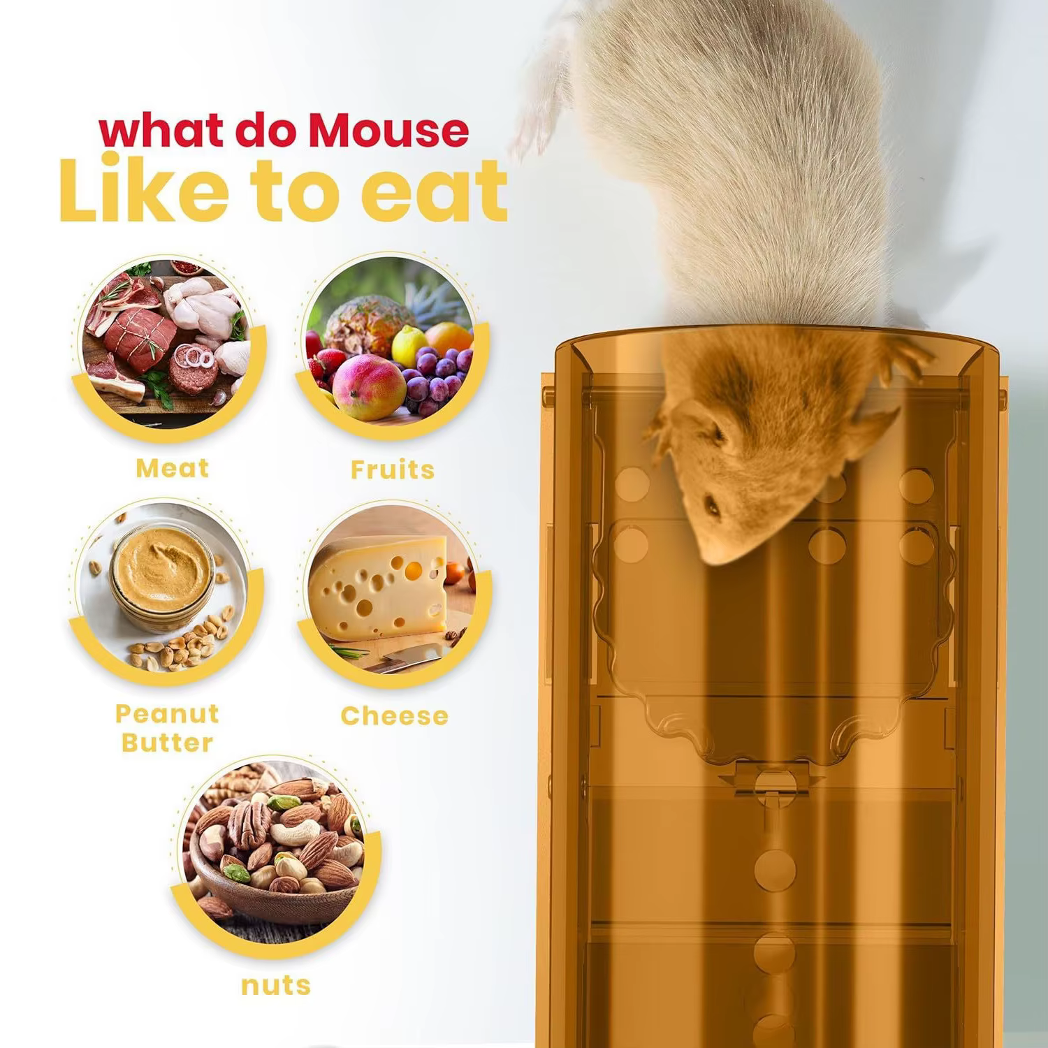 Plastic Humane Mouse Trap Catch and Release Mouse Traps That Work Indoor/Outdoor Mousetrap Catcher Non Killer Small Capture Cage — image 4