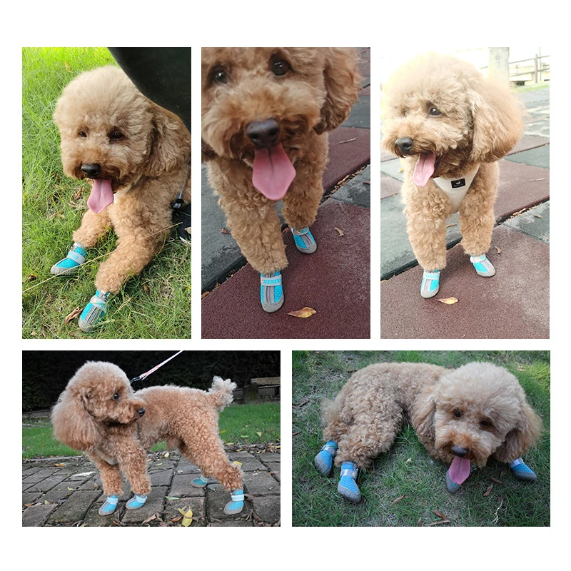 Zapatillas Respirables para Perros Pequeños Anti-Slip Zapatos de Verano con Reflejos para Chihuahuas Zapatos de Goma — imagen 5