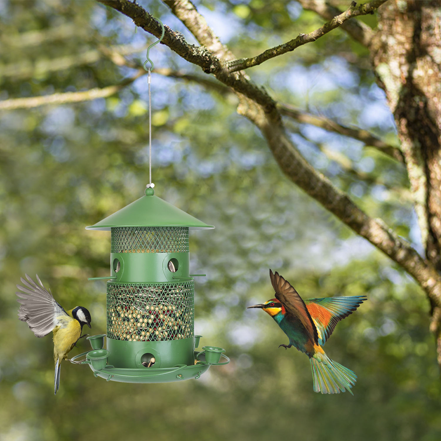 Comedor de Pájaros Silvestres Prueba de Ardillas Resistente al Mordisco Metalúrgico Comedor de Semillas para Jardín Patio Exterior con Perchas Circulares 360° Tazas de Agua para Primavera Verano — imagen 10