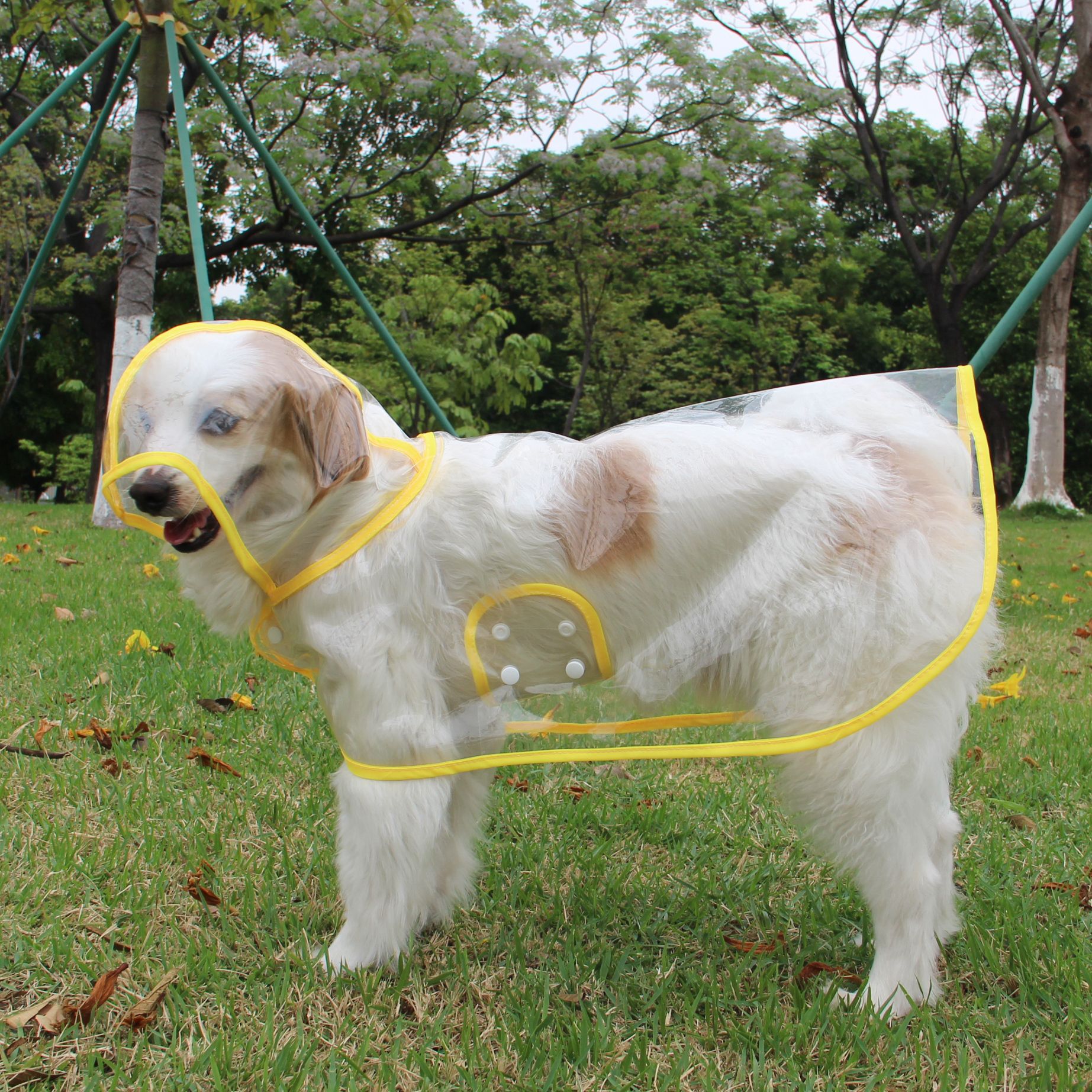 Pet Supplies Dog Raincoat Teddy Small And Medium-Sized Dogs New Transparent Plastic Fashion Poncho Pet Raincoat — image 8