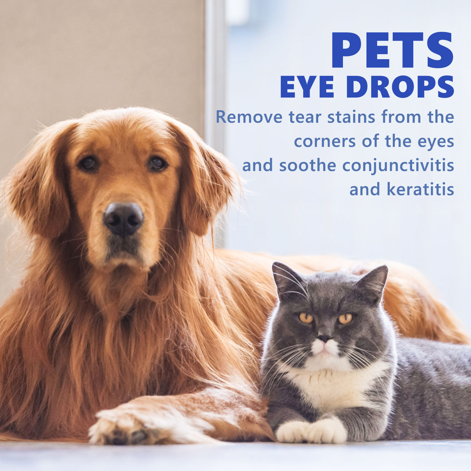Yegbong Pet Eye Drops, Cats And Dogs Eye Cleaning Care Pet Eye Wash Tear Stain Remover — image 6