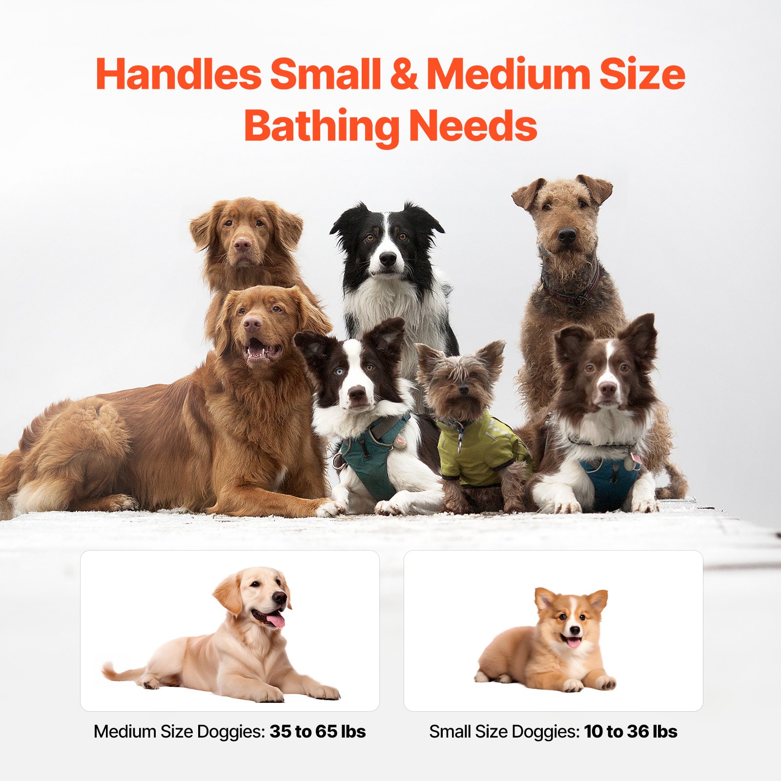 Baño Portátil para Perros con Iluminación Elevada Azul Claro - Estación de Baño para Pequeños y Medianos Animales Domésticos — imagen 6