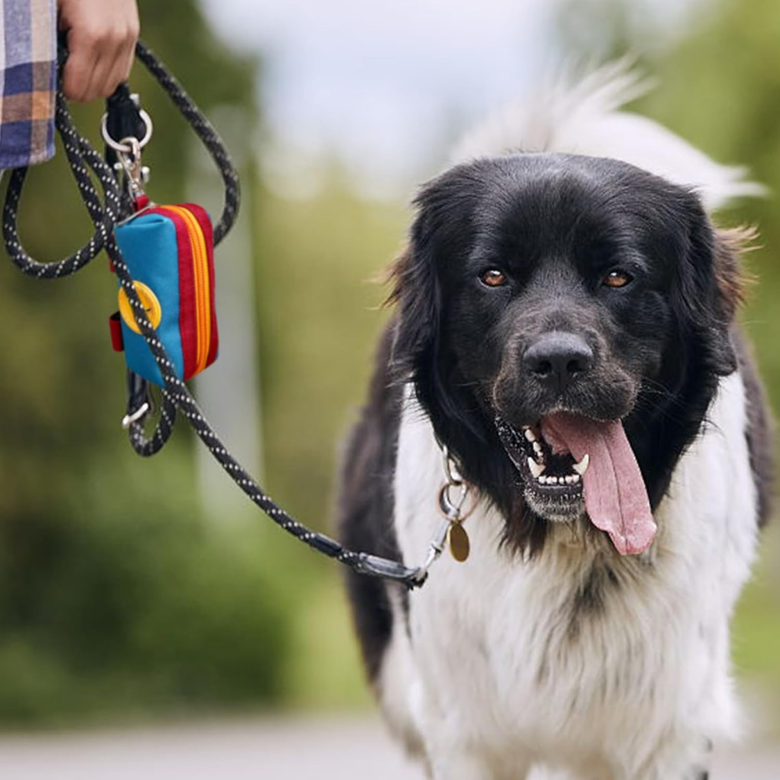 Portador de Bolsas para Excrementos Caninos con Cierre Zipper y Corchete Metálico, Pouch de Almacenamiento con Velcro y Cinturón para Caminatas Diarias — imagen 6