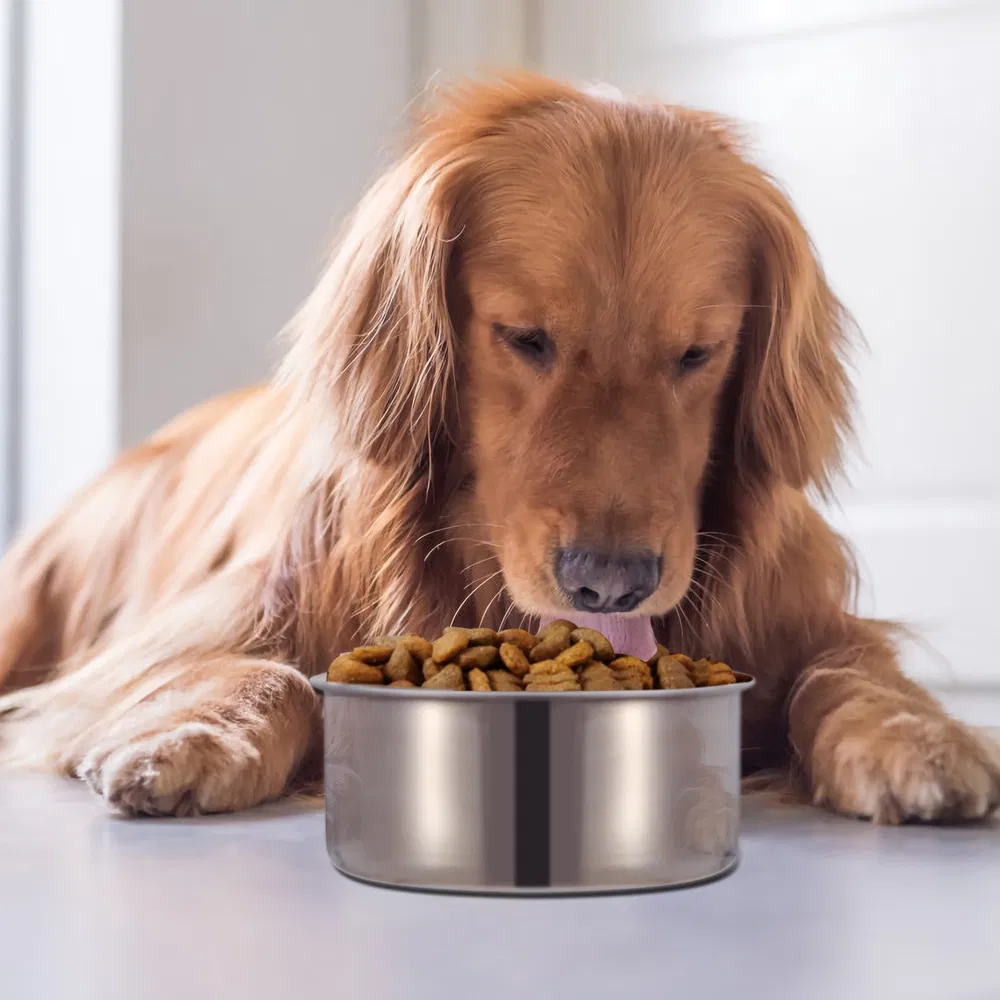Bol de Alimento para Perros en Acero Inoxidable - Comida y Agua Suspendido con Suporte Fijo — imagen 2