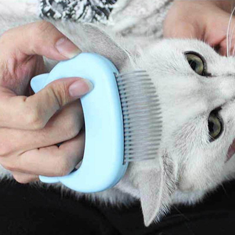 Pet Massage Brush Shell Shaped Handle Pet Grooming Massage Tool To Remove Loose Hairs Only For Cats New — image 6