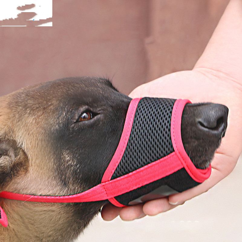 Mouth Cover To Prevent Eating Indiscriminately Large Labrador Dog — image 1