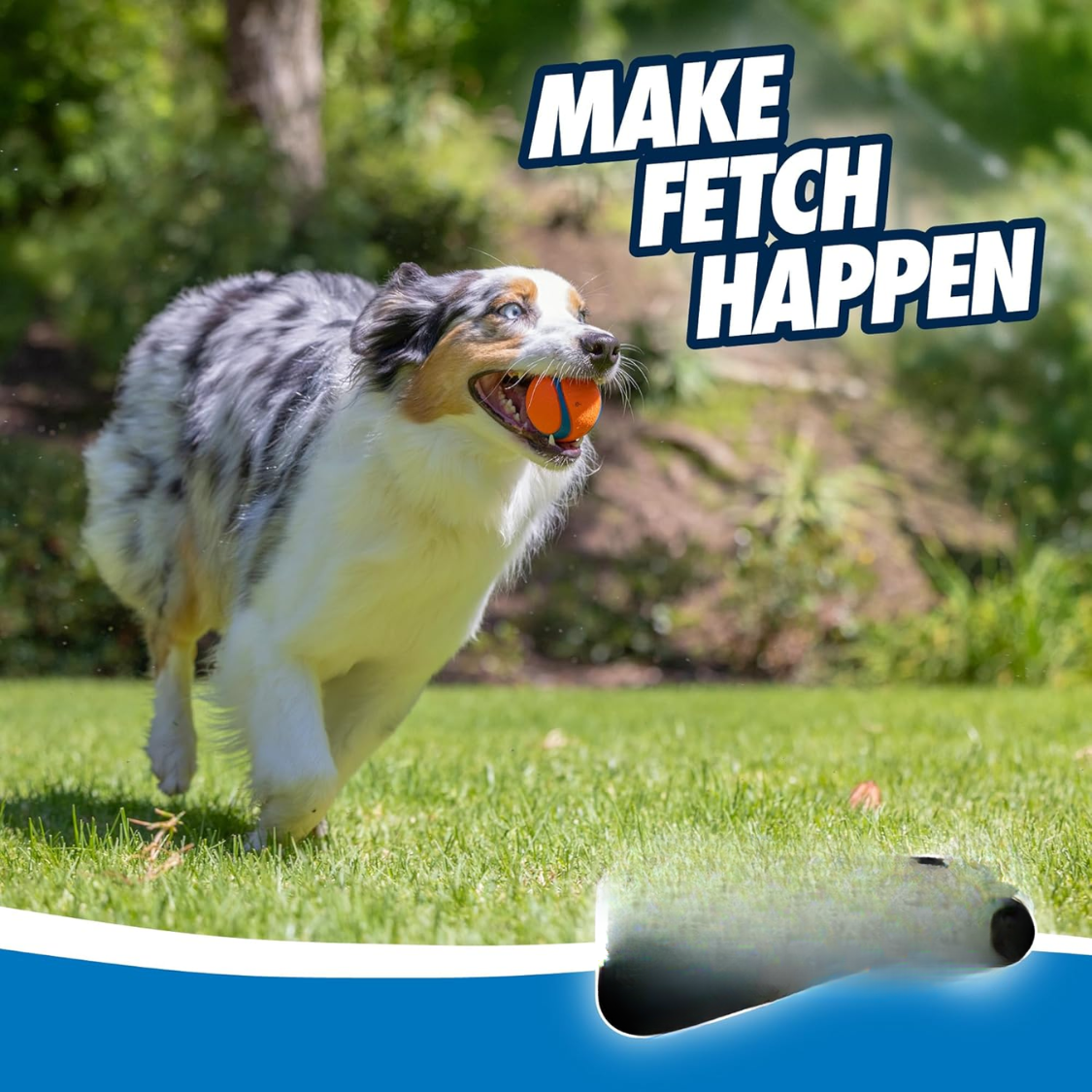 Pelota Ultra para Perros - Medio - Bolas de Fútbol para Perros de 20-60 Lbs - Hechas de Goma Duradera - Juguetes Acuáticos para Mascotas - Tamaño Medio - Diámetro de 2.5 pulgadas - Paquete de 4 — imagen 5