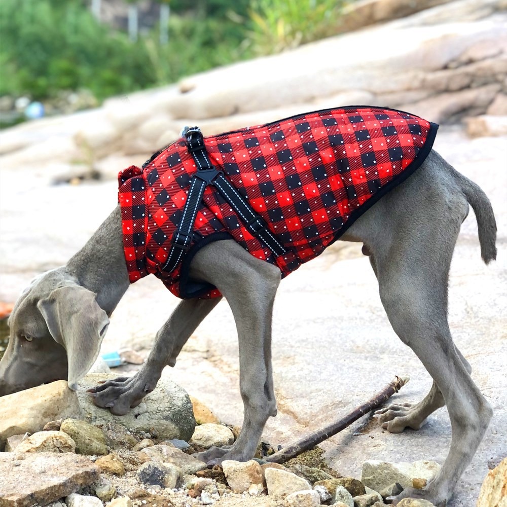 Autumn And Winter New Pet Clothes Christmas Big Dog Clothes Thickened Warm Dog Cotton Clothes Pet Clothing — image 3