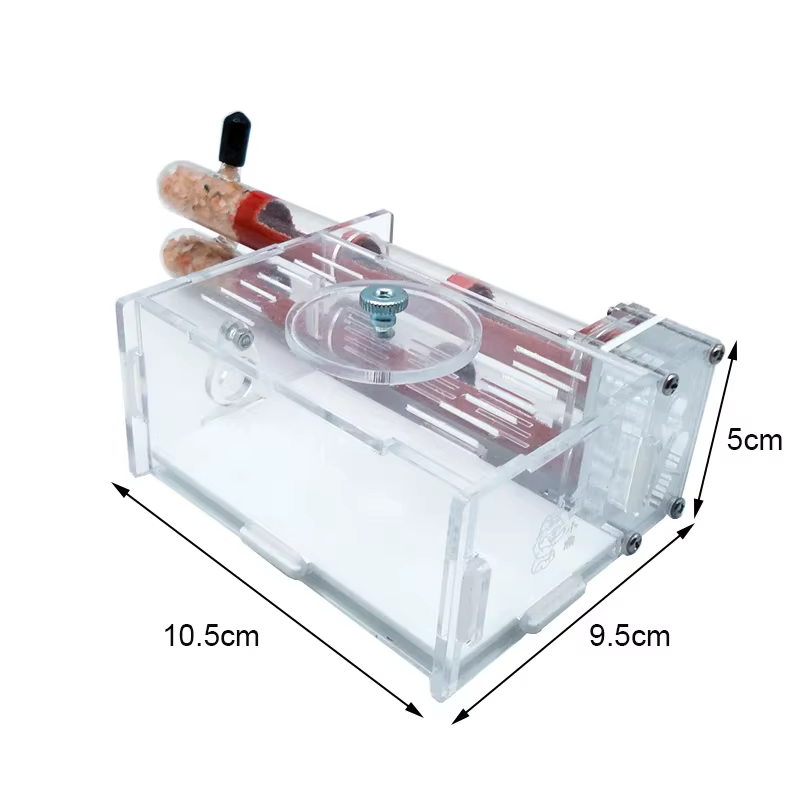 DIY Ant Farm 2 pcs 18-180mm Gypsum Bamboo Test Tube Nest with Feeding Area Pet Anthill Workshop Ant House Queen Ant Nest Castle — imagen 3