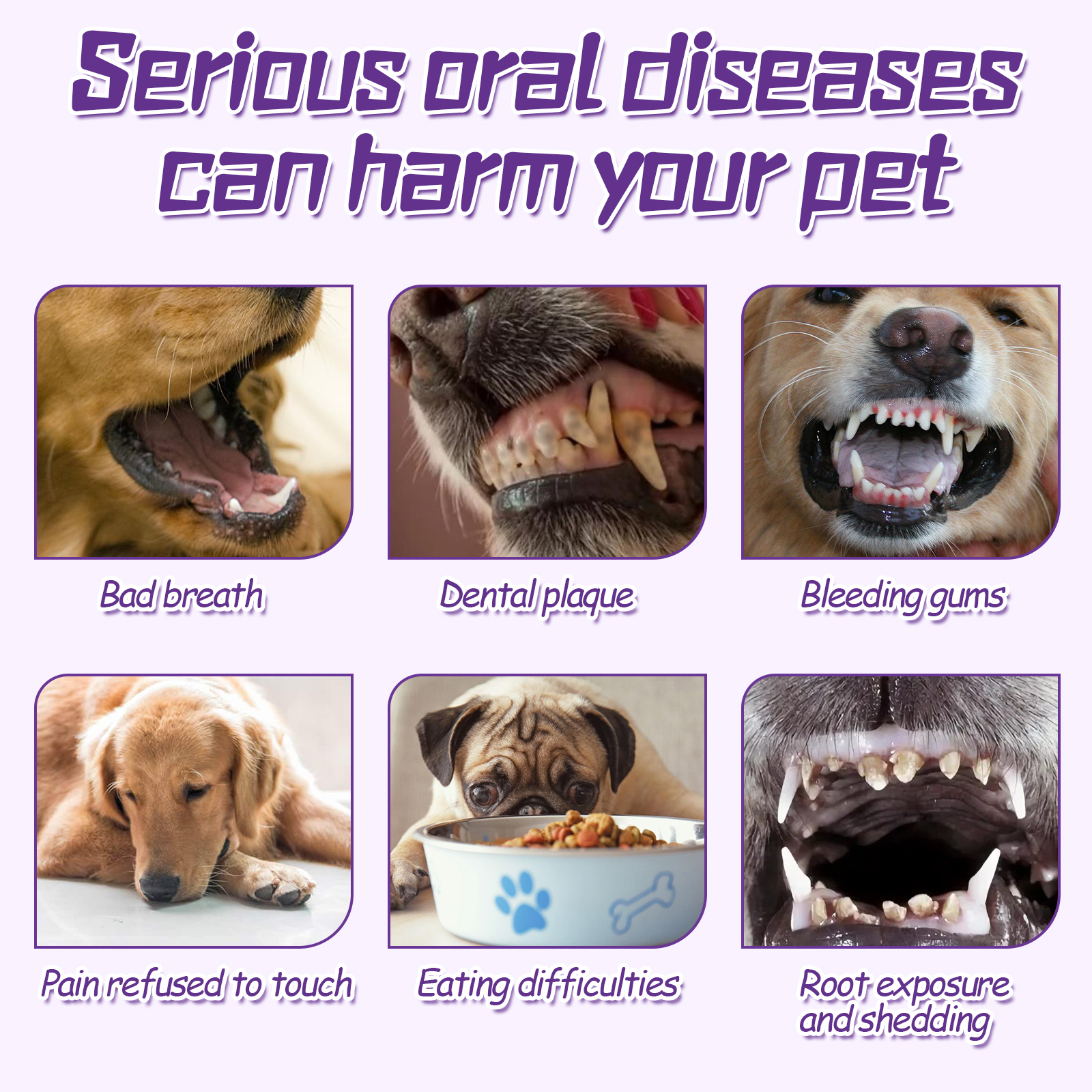 Pet Toothbrush For Dogs, Pet Oral Cleaning Dental Stains Dental Health Care — image 6