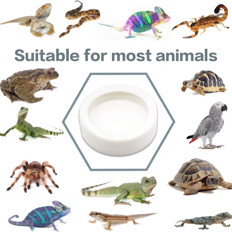 Reptile Water Food Bowl Anti-Escape Ceramic Feeder Dish for Lizard Hermit Gecko Chameleon Corn Snake Bearded Dragon Accessories — image 3