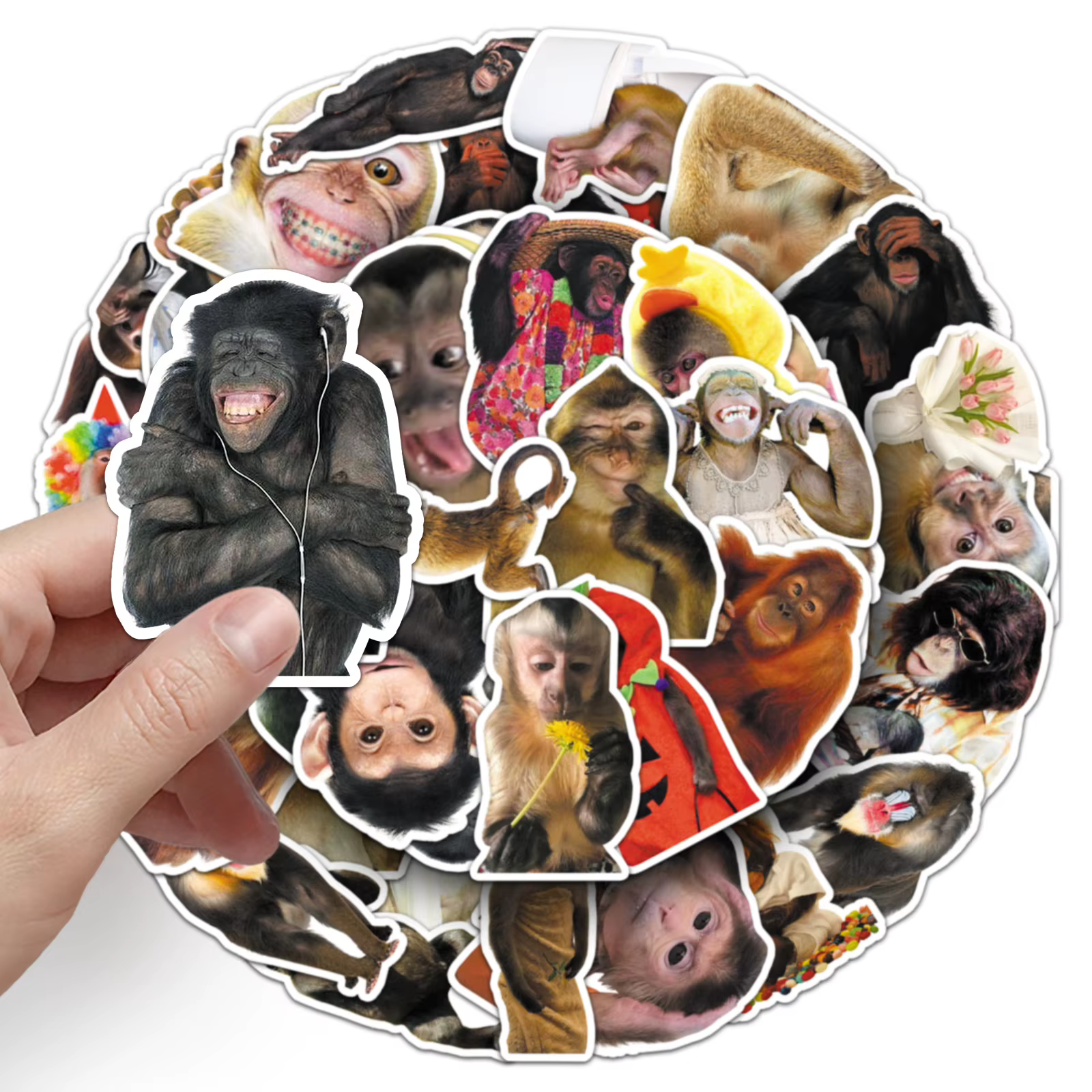 50PCS Funny Monkey Chimpanzees Meme Stickers Realistic Graffiti Decoration DIY Notebook Suitcase Guitar Refrigerator Toys Decals — image 3