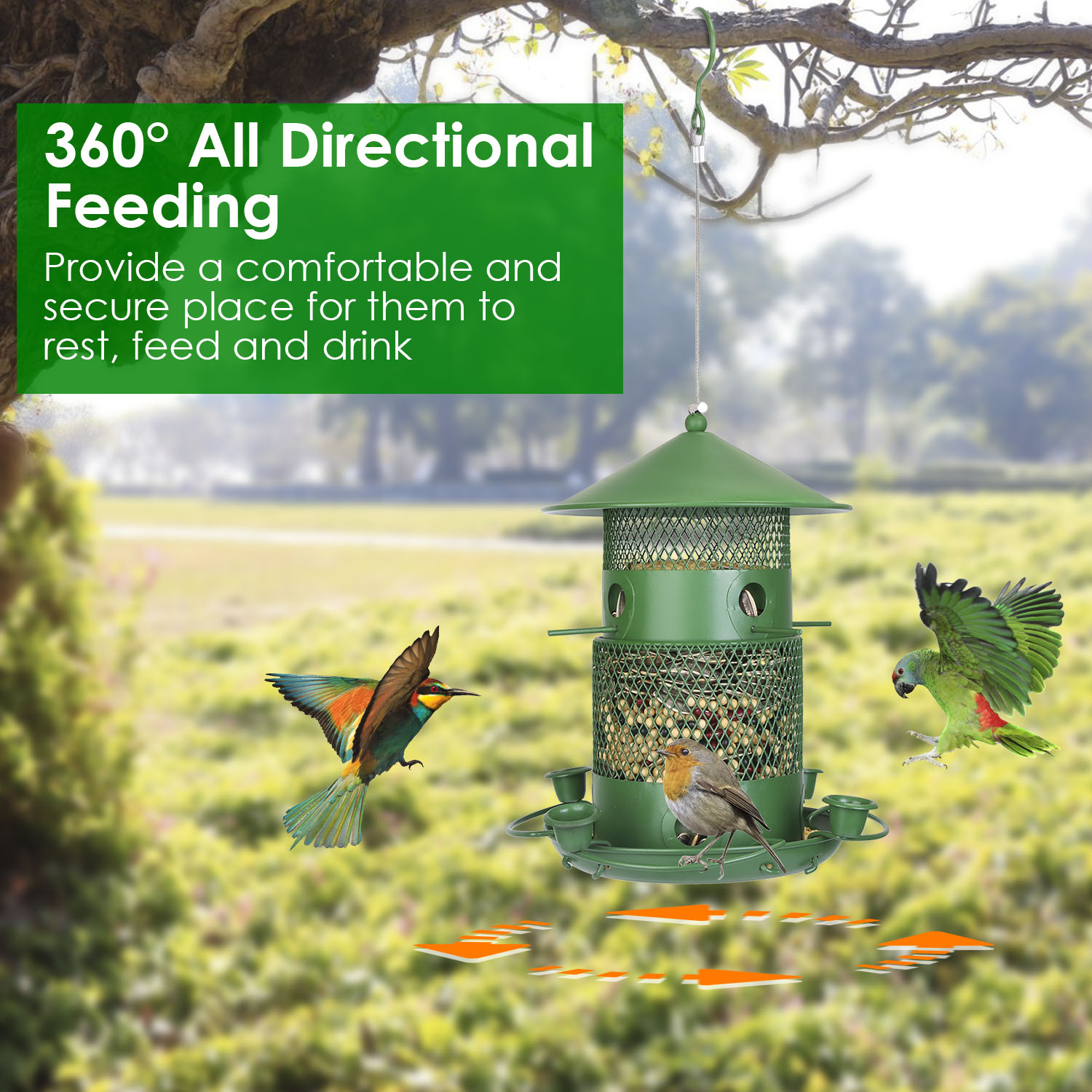 Comedor de Pájaros Silvestres Prueba de Ardillas Resistente al Mordisco Metalúrgico Comedor de Semillas para Jardín Patio Exterior con Perchas Circulares 360° Tazas de Agua para Primavera Verano — imagen 5