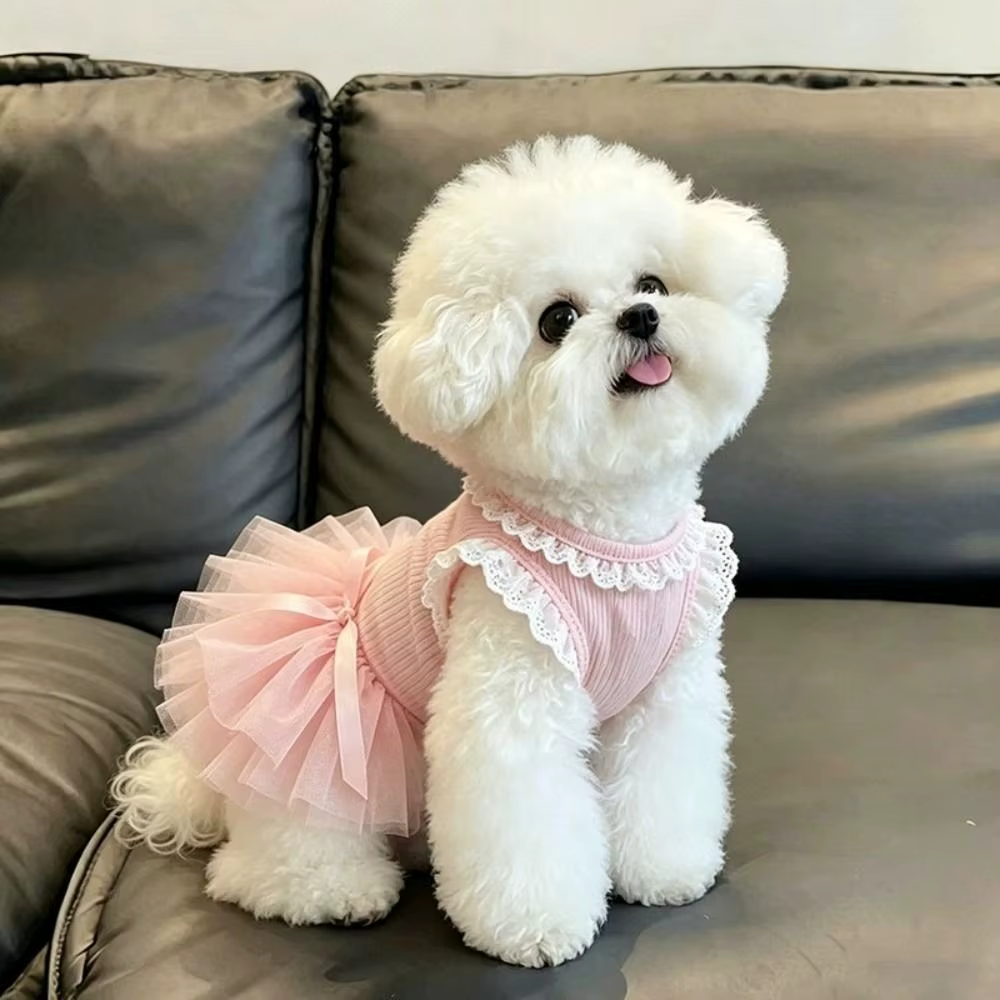 Vestido de Tutu de Encaje Rosa para Mascotas: Cómodo, Transpirable, Princesa de Gato, Ropa de Verano — imagen 1