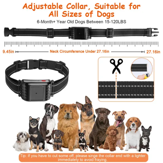 Collar de Entrenamiento Remoto Inalámbrico para Perros con 4 Canales, Modos de Silbido, Vibración y Choque, IPX6 Resista a Agua — imagen 3