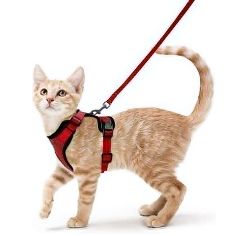 Arnes y Correa para Gatos con Control Fácil, Inescapable - Arnes de Vestido Suaves y Ajustables para Pasear a los Gatos — imagen 3