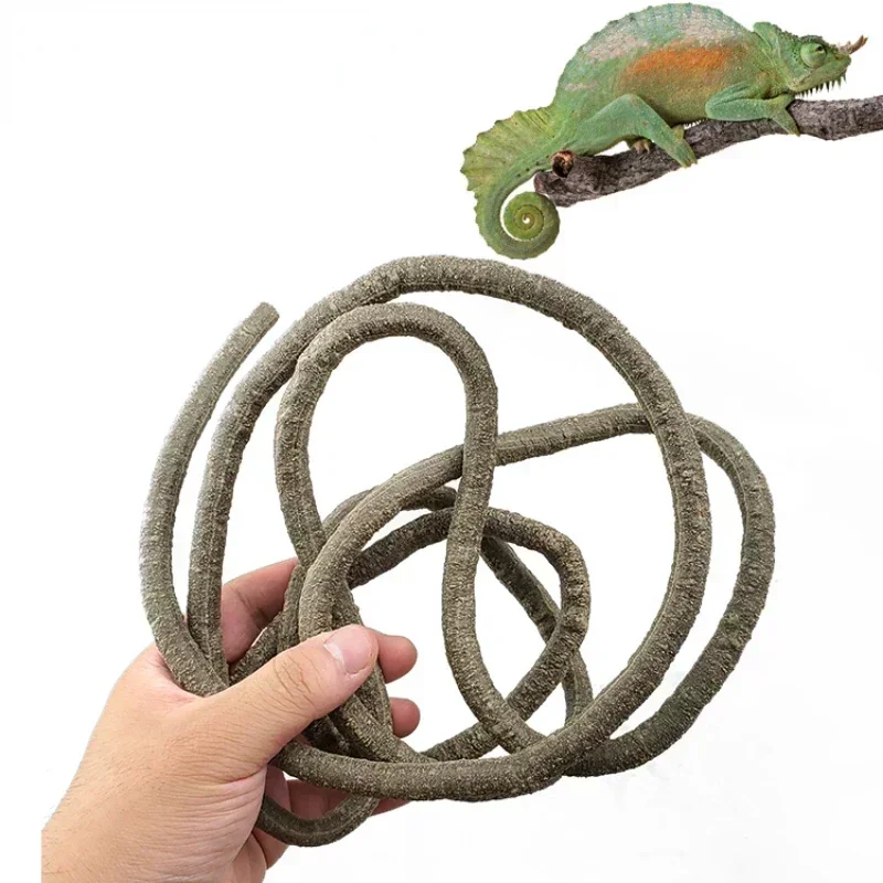Large Flexible Vines Rattan Habitat Decoration Bendable Jungle Branches Climb Pet Supplies Reptiles Terrarium Decor 1.5/2.5/3m — image 3