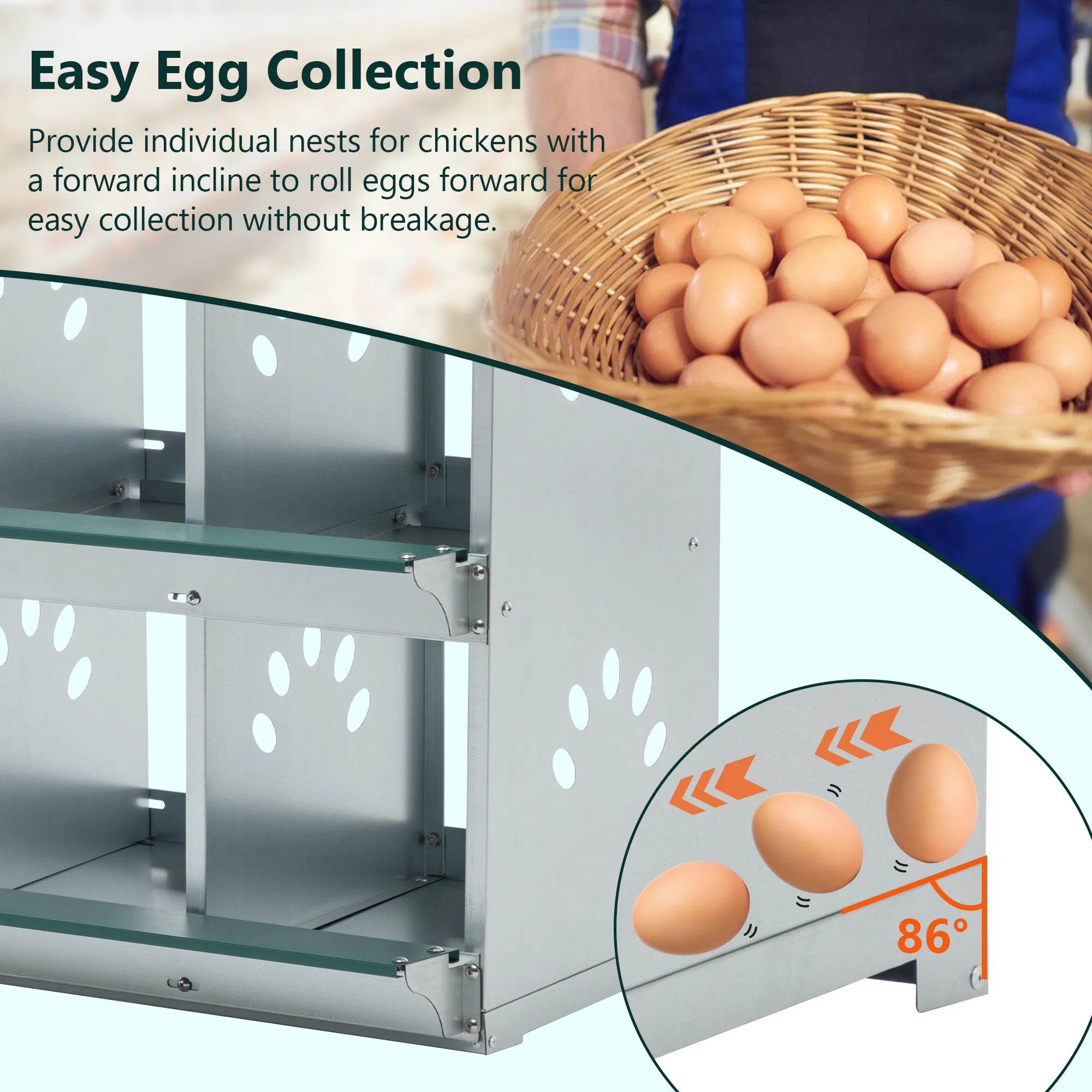 8 Room Metal Chicken Nesting Boxes 8 Compartment Egg Coop — image 4